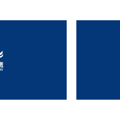 DUODUYING/Multi Eagle Logo
