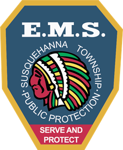 E.M.S Logo