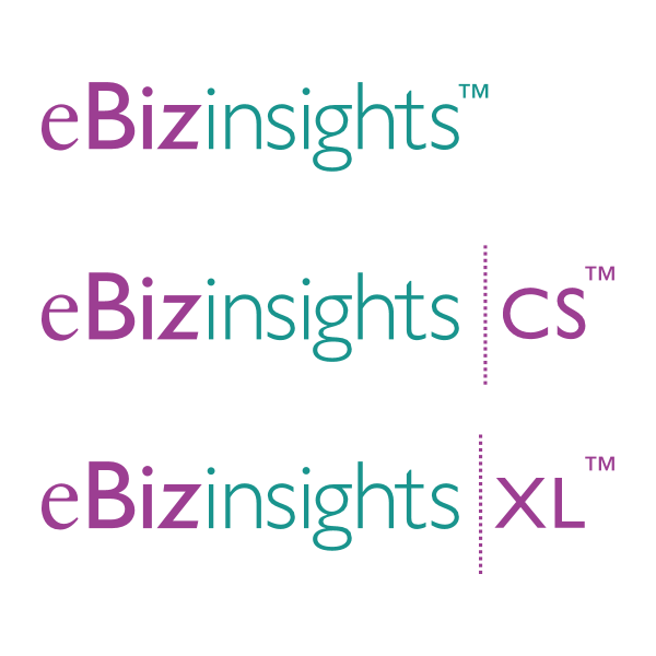 eBizinsights