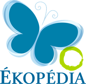 Ekopedia Logo