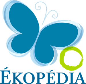 Ekopedia Logo ,Logo , icon , SVG Ekopedia Logo