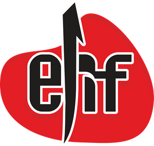 Elif Insaat Logo ,Logo , icon , SVG Elif Insaat Logo