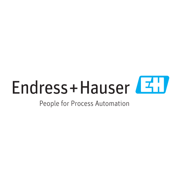 Endress Hauser Logo ,Logo , icon , SVG Endress Hauser Logo