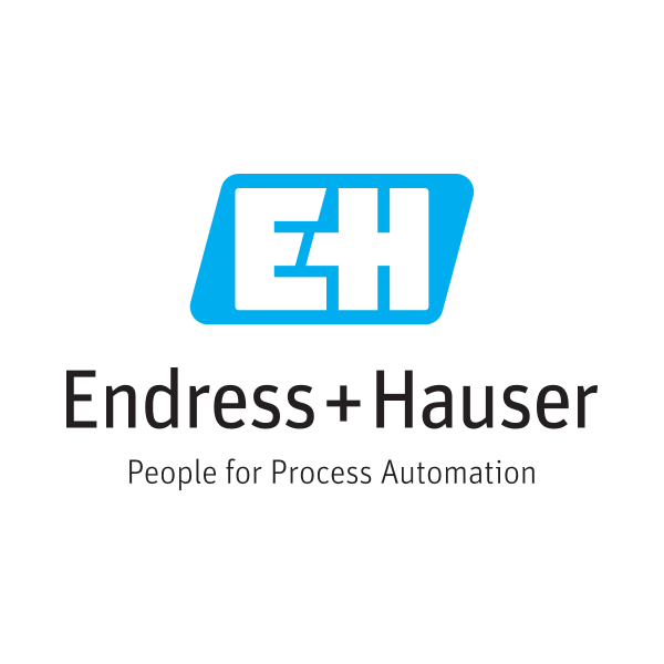 Endress   Hauser Logo