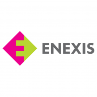 Enexis Logo ,Logo , icon , SVG Enexis Logo