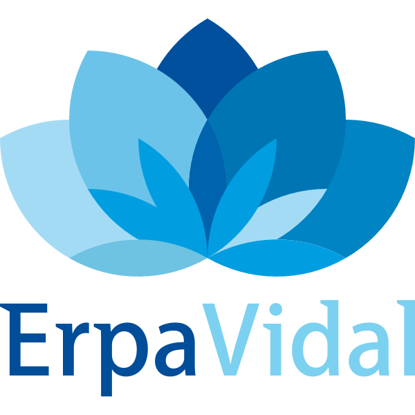 erpavidal Logo