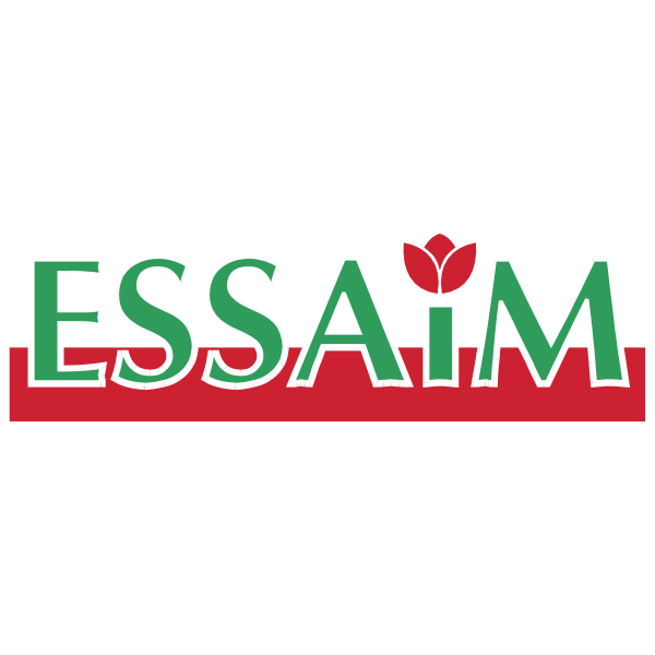 Essaim