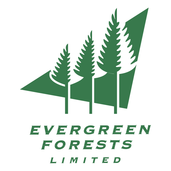 Evergreen Forests