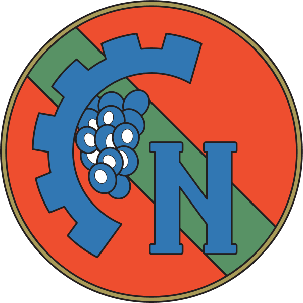 FC Nistru Chisinau Logo