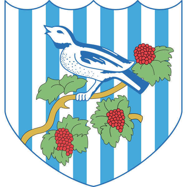 FC West Bromwich Albion 90’s Logo