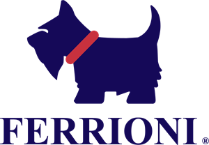 Ferrioni Logo ,Logo , icon , SVG Ferrioni Logo