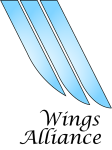 Fictious airline alliance Logo