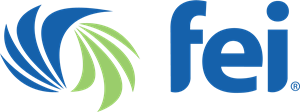 Financial Executives International FEI Logo