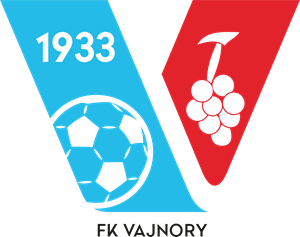 FK Vajnory Logo ,Logo , icon , SVG FK Vajnory Logo