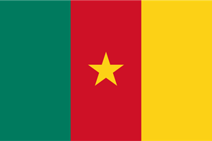 Flag of Cameroon Logo ,Logo , icon , SVG Flag of Cameroon Logo