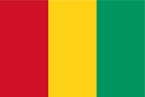 Flag of Guinea Logo