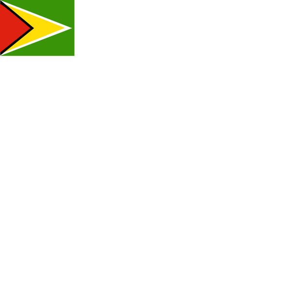 Flag of Guyana ,Logo , icon , SVG Flag of Guyana