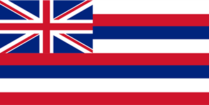FLAG OF HAWAII Logo