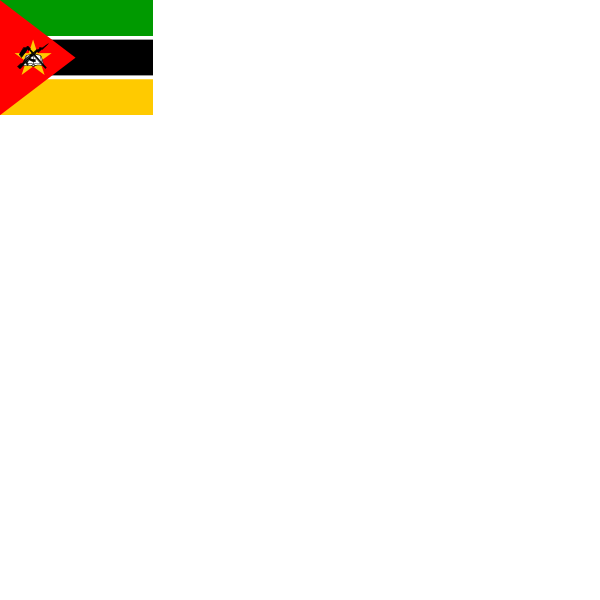 Flag of Mozambique