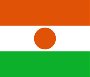 Flag of Niger Logo