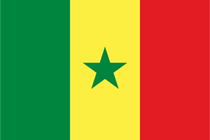 Flag of Senegal Logo