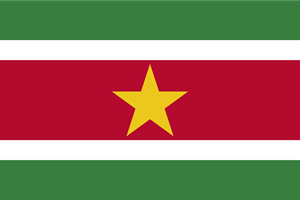 Flag of Suriname Logo ,Logo , icon , SVG Flag of Suriname Logo