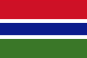 Flag of The Gambia Logo