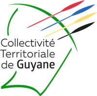 Flag of the territorial collectivity Logo ,Logo , icon , SVG Flag of the territorial collectivity Logo