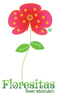 Floresitas Logo