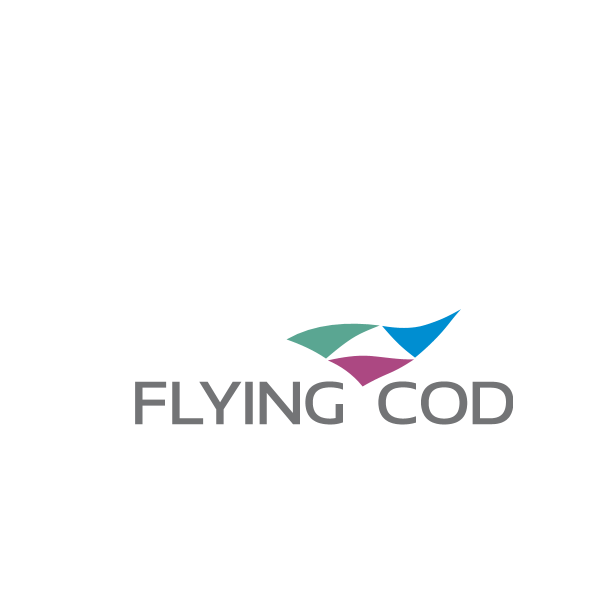 flying coders Logo