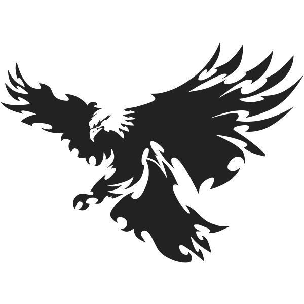 Bald Eagle Bird, Bird, animals, logo, vertebrate png | PNGWing