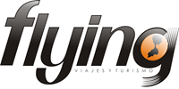 FLYNG Logo ,Logo , icon , SVG FLYNG Logo