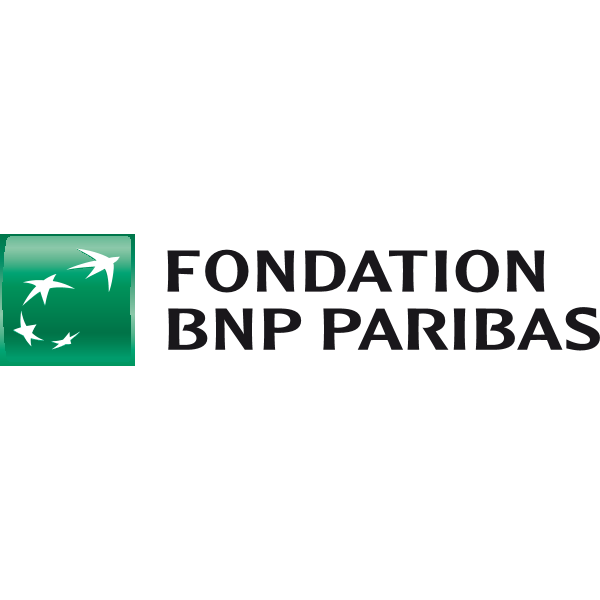 Fondation BNP Paribas Logo ,Logo , icon , SVG Fondation BNP Paribas Logo