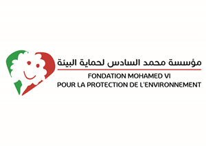 Fondation Mohammed VI Logo ,Logo , icon , SVG Fondation Mohammed VI Logo
