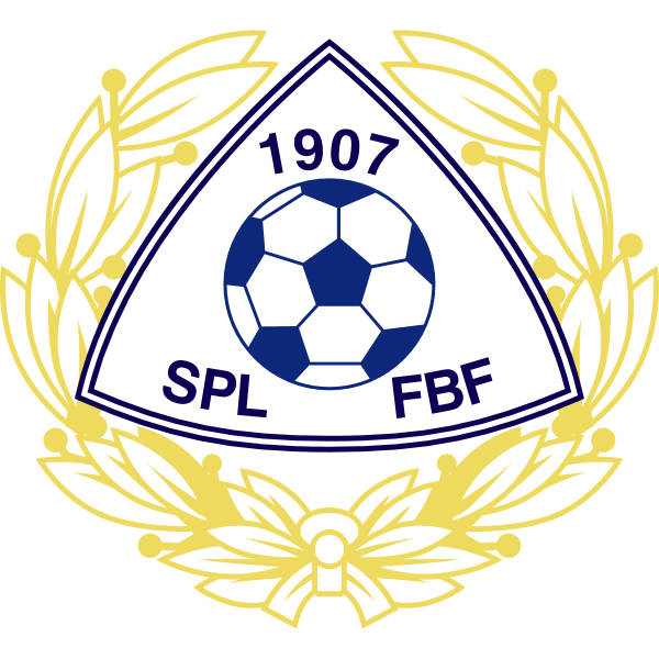 Football Association of Finland Logo