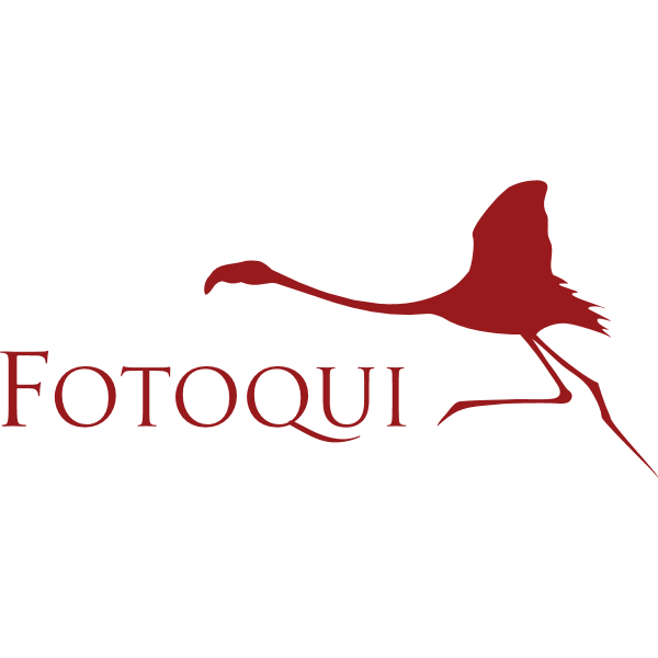 Fotoqui Logo