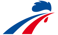 France National Ice Hockey Team Logo