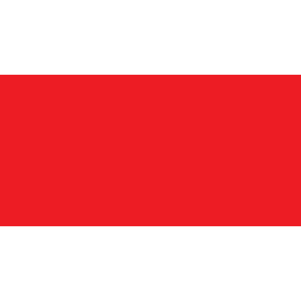 FUJAIRAH EMIRATE FLAG Logo ,Logo , icon , SVG FUJAIRAH EMIRATE FLAG Logo