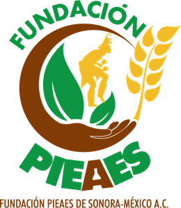 Fundacion Pieaes Logo ,Logo , icon , SVG Fundacion Pieaes Logo