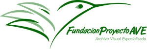 Fundación Proyecto AVE Logo