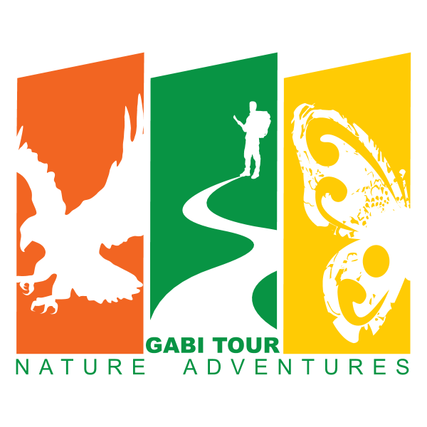 Gabi Tour Logo ,Logo , icon , SVG Gabi Tour Logo