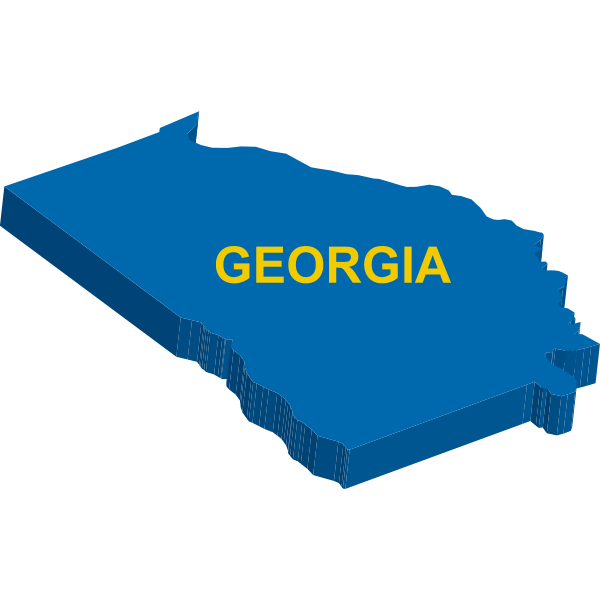 GEORGIA STATE MAP Logo