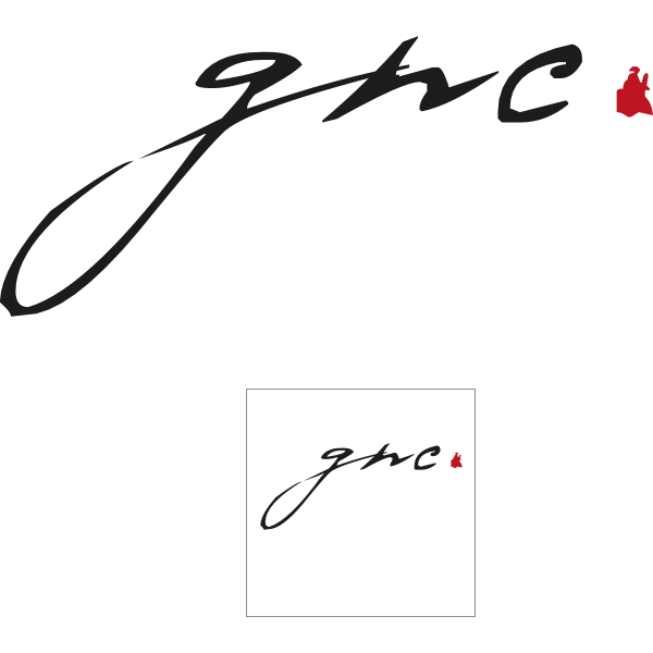 Gianni Neri Concept Logo