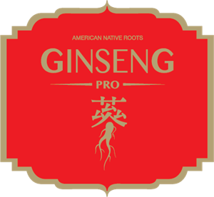 GinsengPro Logo ,Logo , icon , SVG GinsengPro Logo