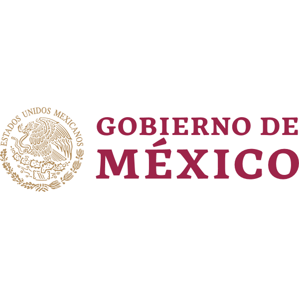 Government of Mexico Logo 2019