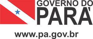 Governo do Estado do Pará Logo ,Logo , icon , SVG Governo do Estado do Pará Logo