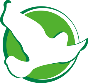 Green Flying Ghost Logo