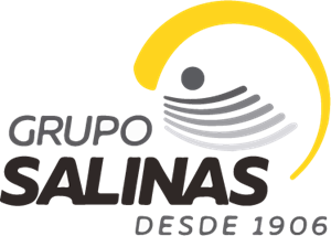 Grupo Salinas Logo ,Logo , icon , SVG Grupo Salinas Logo