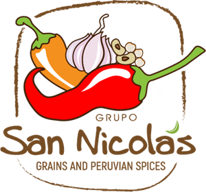 Grupo San Nicolas Logo ,Logo , icon , SVG Grupo San Nicolas Logo