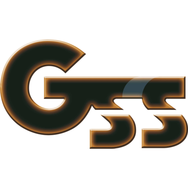GSS Gold Standard Solutions Logo ,Logo , icon , SVG GSS Gold Standard Solutions Logo